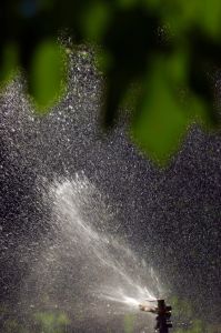plan for a new landscape irrigation system
